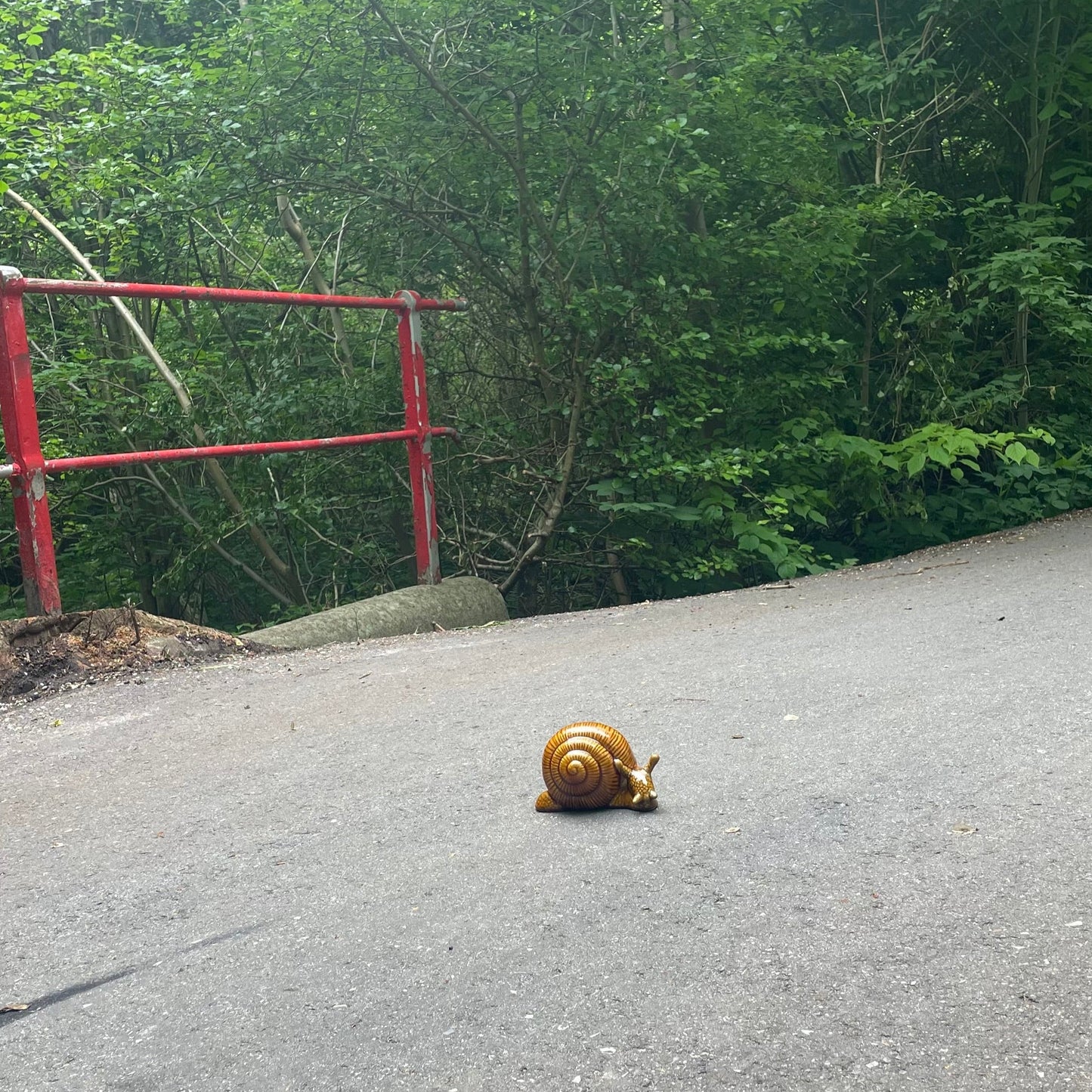 Snail