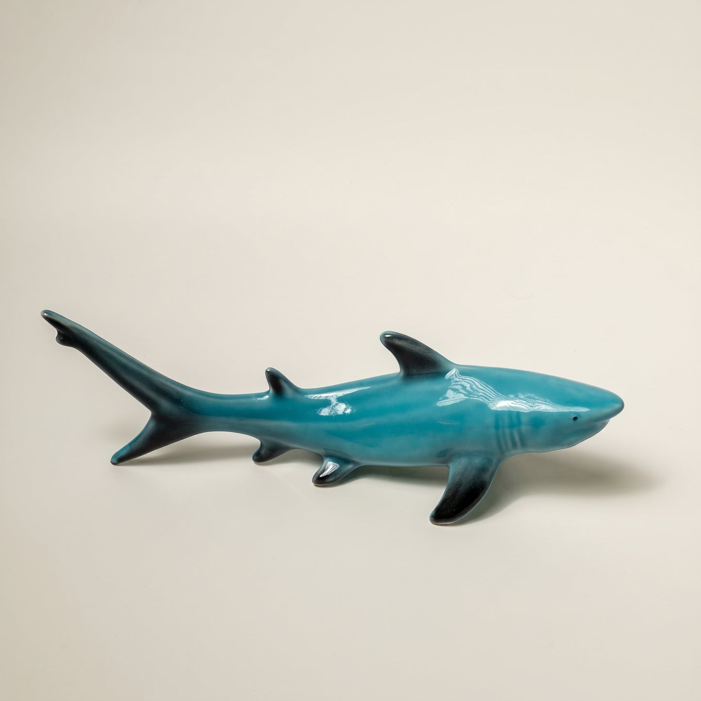 Shark