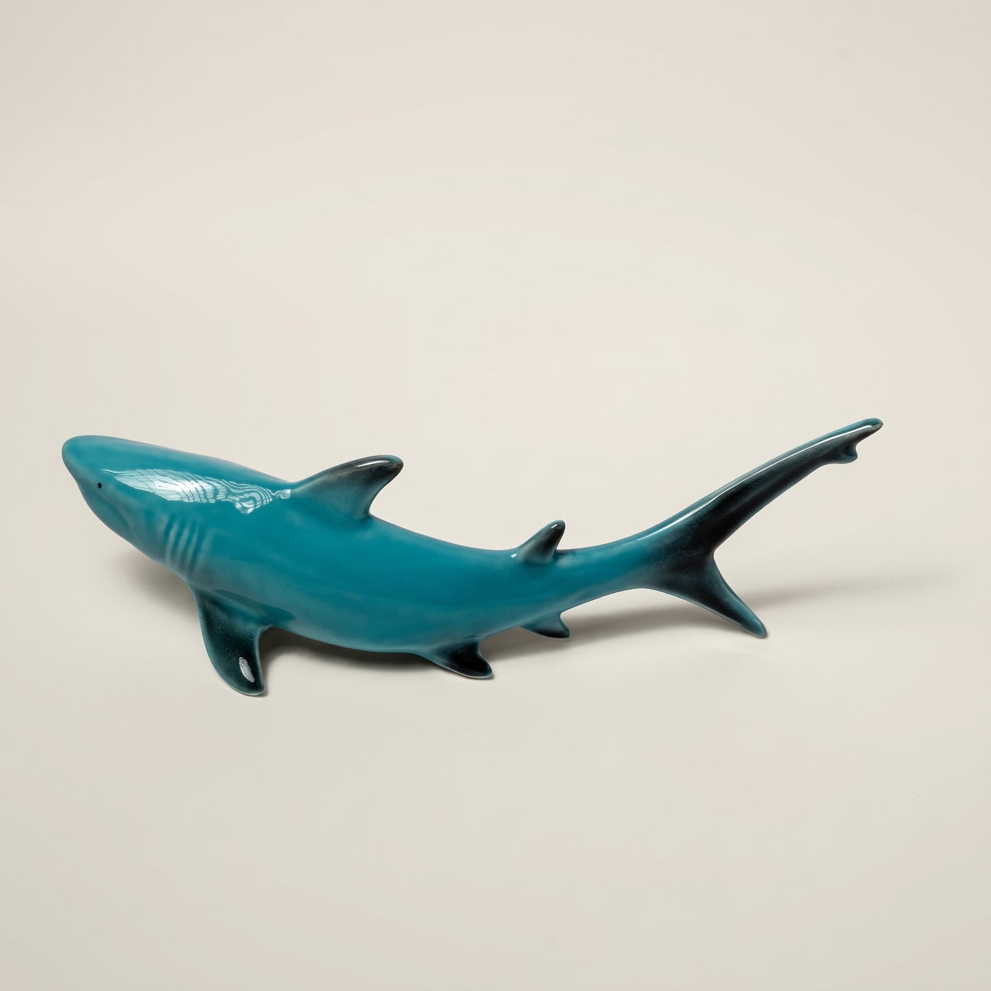 Shark